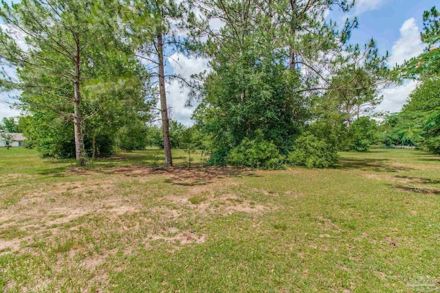 8206 Chumuckla Hwy, Pace, FL 32571 - view of green lawn