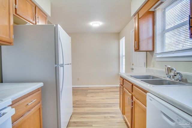 kitchen with light hardwood / wood-style floors, white appliances, and sink