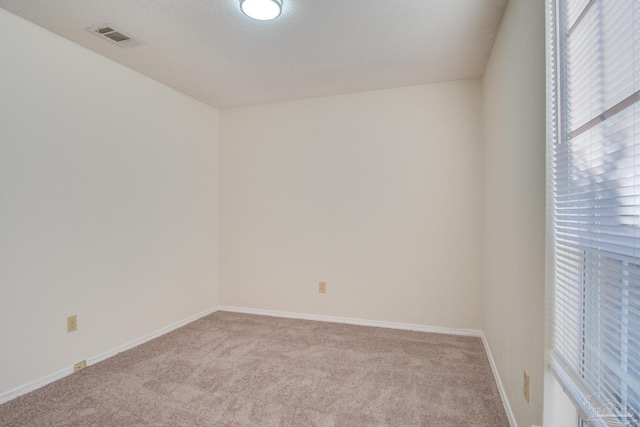 spare room featuring light carpet