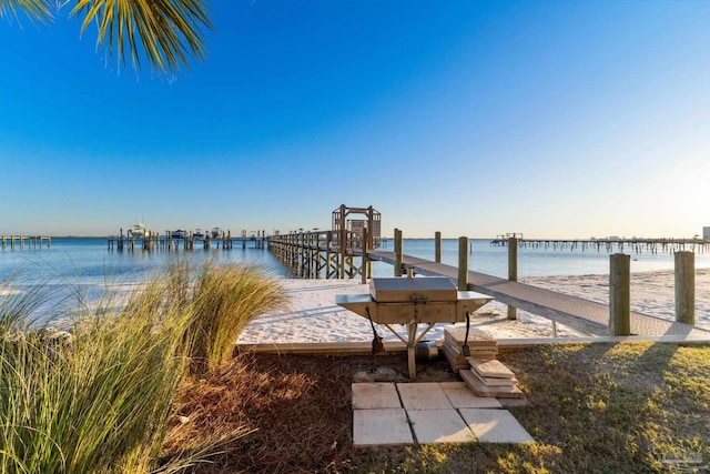 dock area with a water view