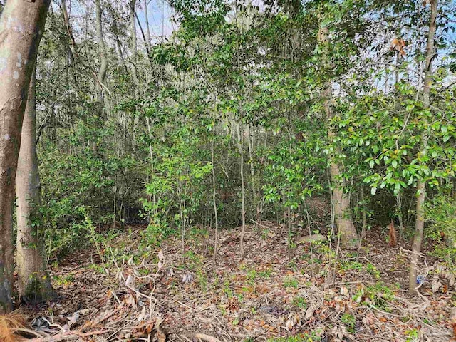1581 Kyle Dr, Pensacola, FL 32505 - view of wooded area