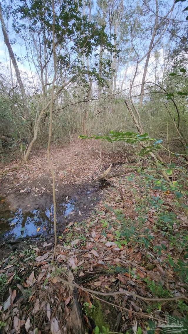 1581 Kyle Dr, Pensacola, FL 32505 - view of nature