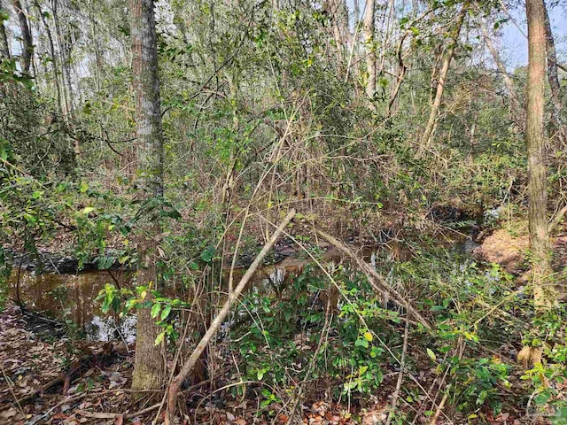 1581 Kyle Dr, Pensacola, FL 32505 - view of nature