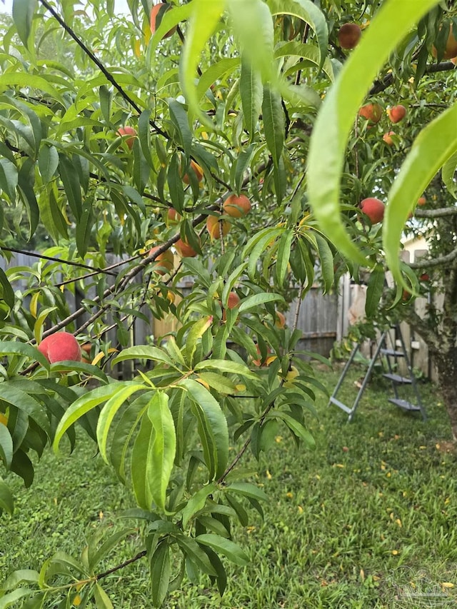 4285 W Avenida De Golf, Pace, FL 32571 - view of yard