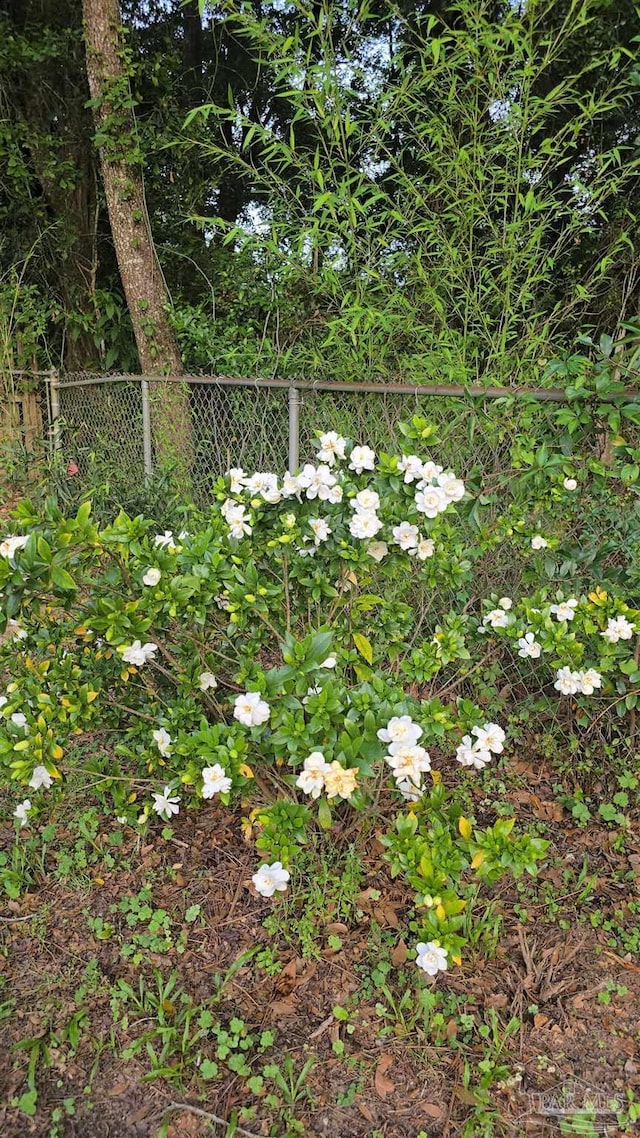 4285 W Avenida De Golf, Pace, FL 32571 - view of yard