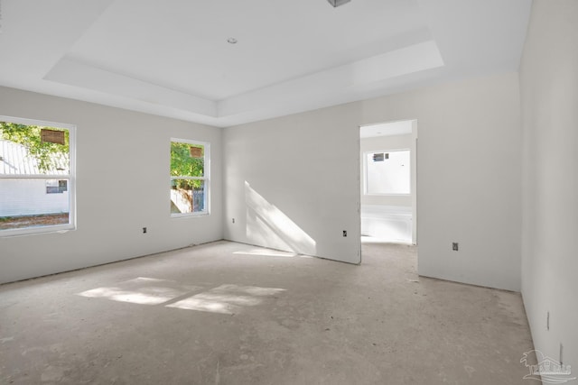 empty room with a healthy amount of sunlight and a raised ceiling