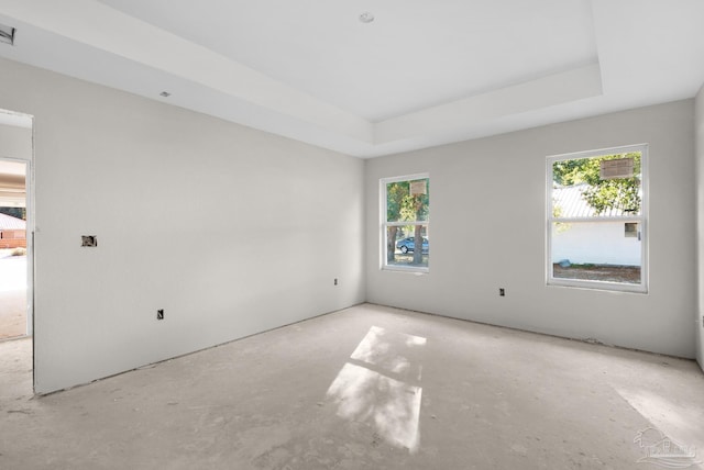 spare room featuring a raised ceiling and a wealth of natural light