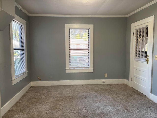 carpeted empty room with ornamental molding