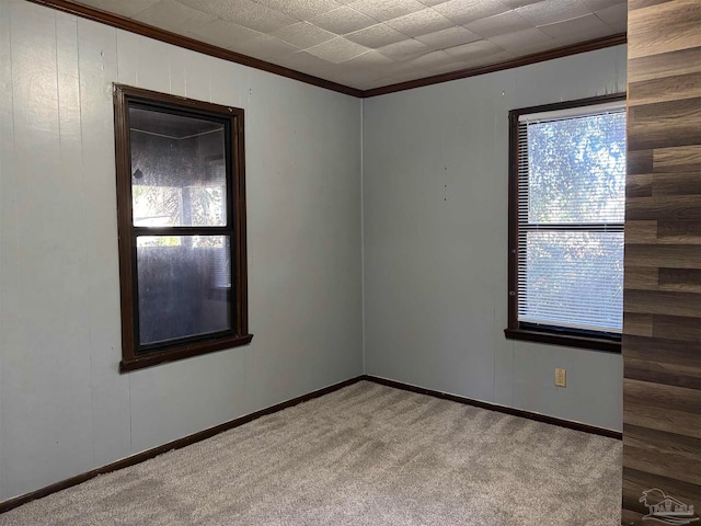 carpeted spare room featuring crown molding