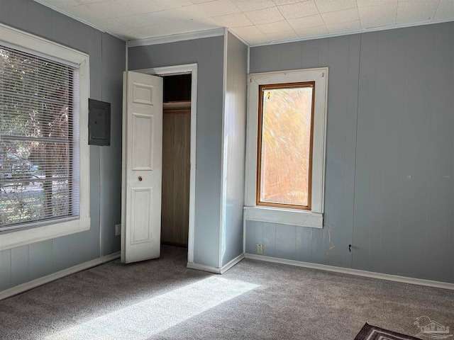 unfurnished bedroom with multiple windows, a closet, electric panel, and carpet floors