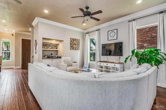 living room with ceiling fan, ornamental molding, and dark hardwood / wood-style flooring