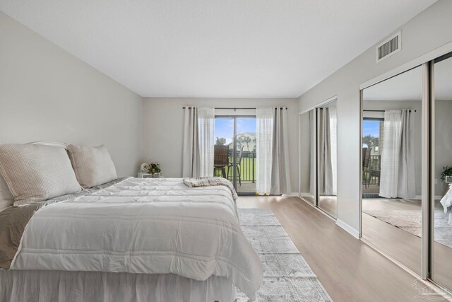 bedroom with light wood finished floors, two closets, access to exterior, and baseboards
