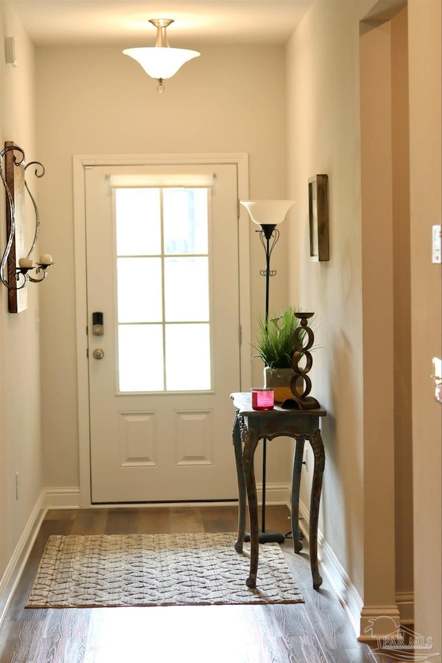 entryway with wood-type flooring