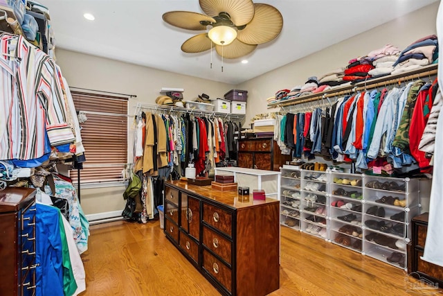 walk in closet with light hardwood / wood-style flooring