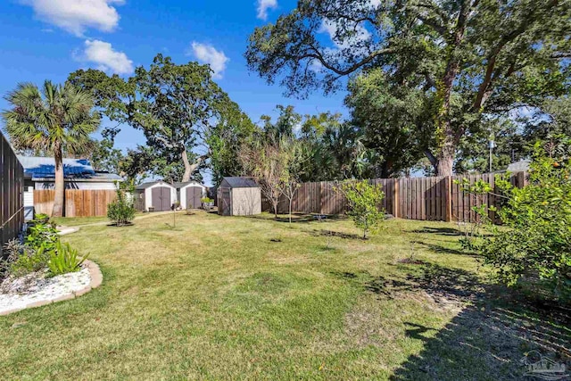 view of yard featuring a storage shed