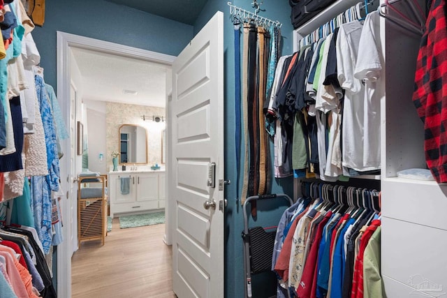 spacious closet with a sink and wood finished floors