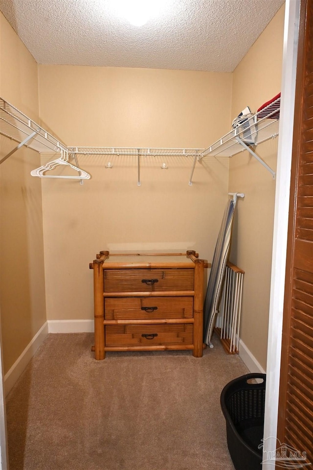 spacious closet with carpet flooring