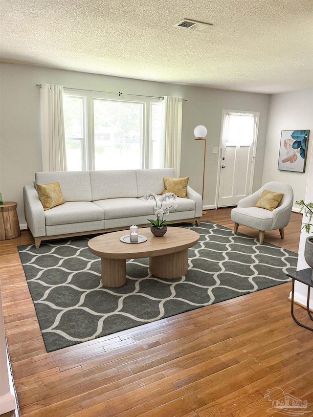 living room featuring wood-type flooring and a textured ceiling