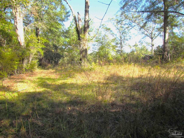 000 Mccall Rd, Century FL, 32535 land for sale