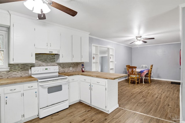 6790 Data St, Pensacola, FL 32504 - kitchen featuring white range with electric cooktop, a ceiling fan, ornamental molding, a peninsula, and tasteful backsplash