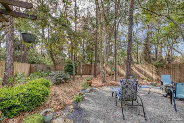 view of yard with a fenced backyard and a patio area