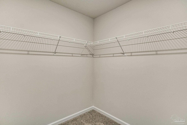 spacious closet with carpet floors