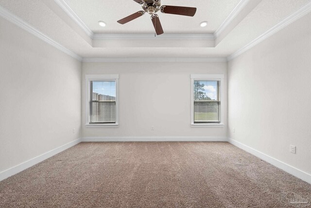 empty room with crown molding, plenty of natural light, and a raised ceiling