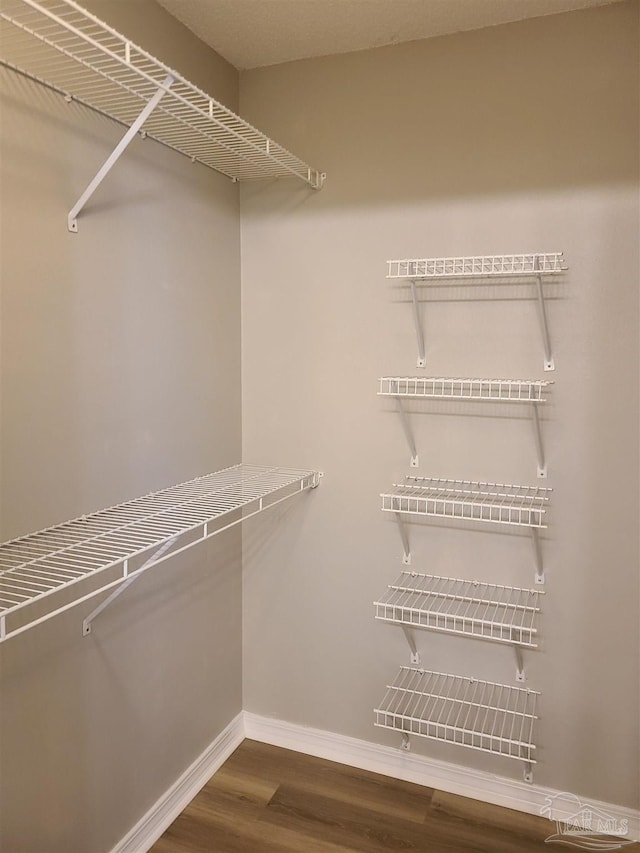 spacious closet featuring wood finished floors