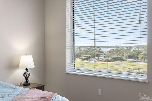 bedroom with multiple windows