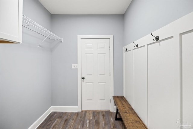 mudroom with dark wood-type flooring