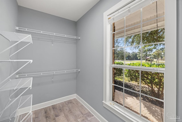 walk in closet with wood-type flooring