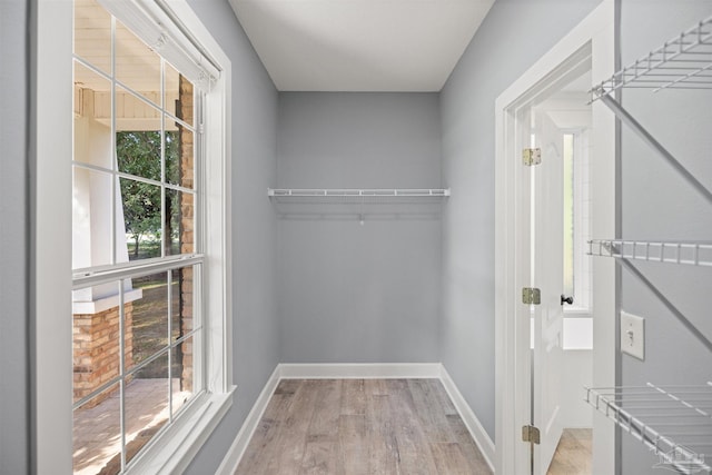 walk in closet with light wood-type flooring