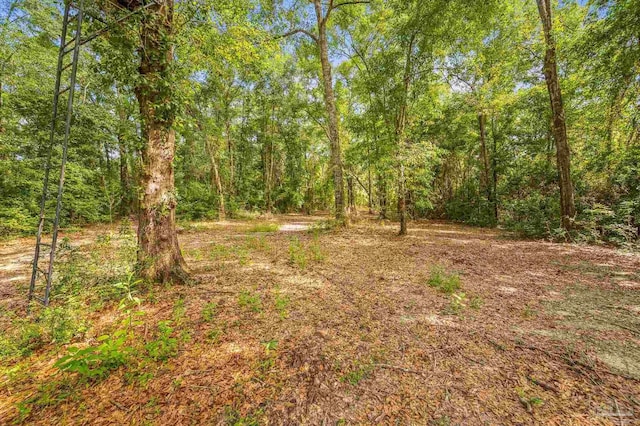 6552 Emerald Forest Dr, Milton, FL 32570 - view of wooded area