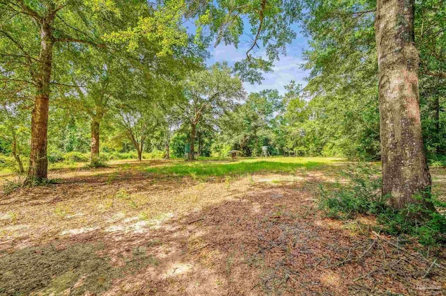 6552 Emerald Forest Dr, Milton, FL 32570 - view of woods