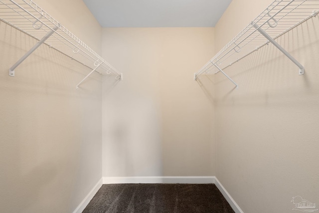 walk in closet featuring dark colored carpet