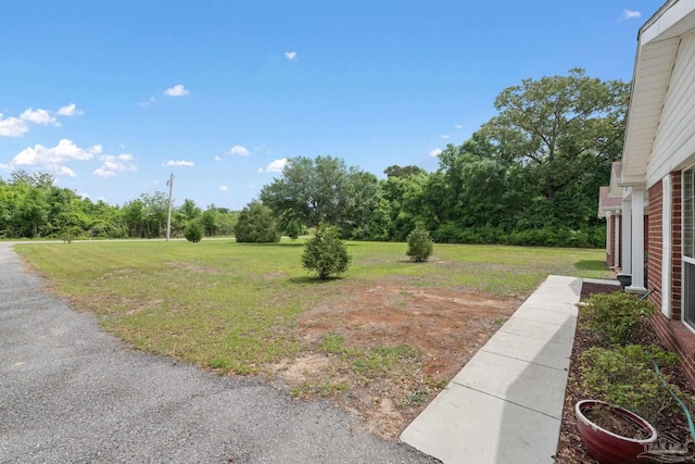 view of yard