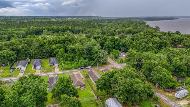 3963 Edgefield St, Pace, FL 32571 - bird's eye view of a forest