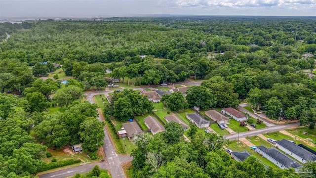 3963 Edgefield St, Pace, FL 32571 - aerial view of property's location with a forest