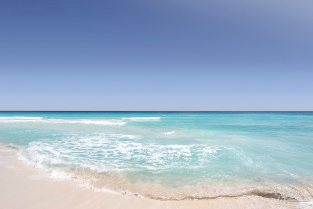 water view featuring a beach view