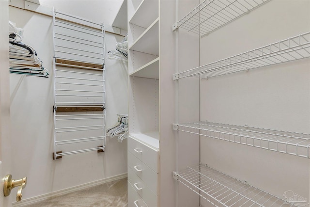 walk in closet featuring light carpet