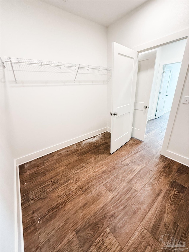 spacious closet with hardwood / wood-style floors