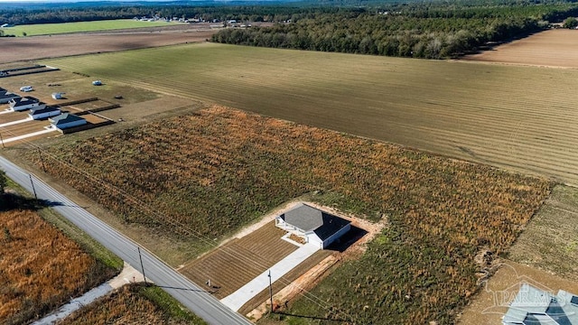 drone / aerial view with a rural view