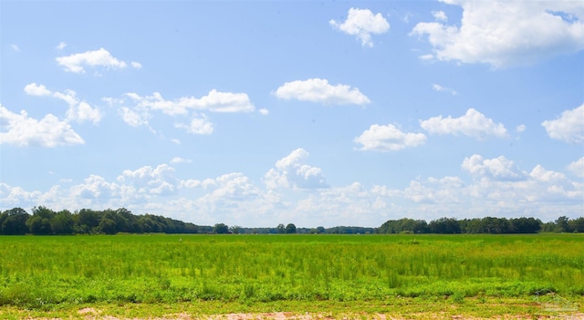 view of landscape featuring a rural view