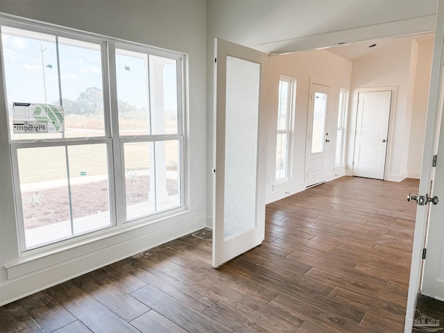 entrance foyer featuring a wealth of natural light and dark wood-type flooring