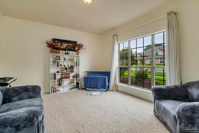 sitting room with carpet