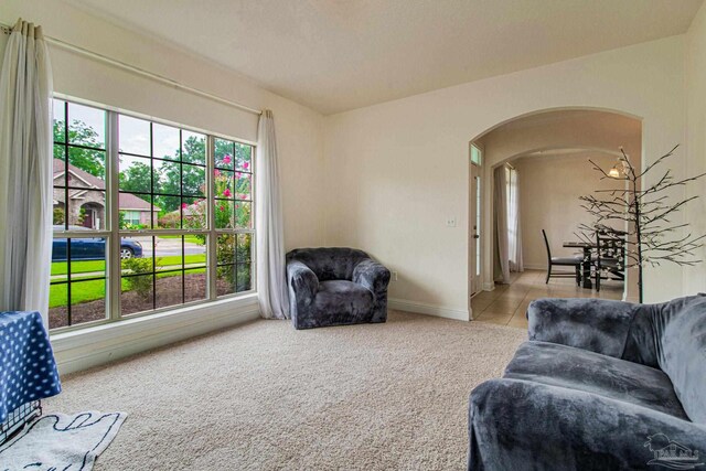 living room with light carpet