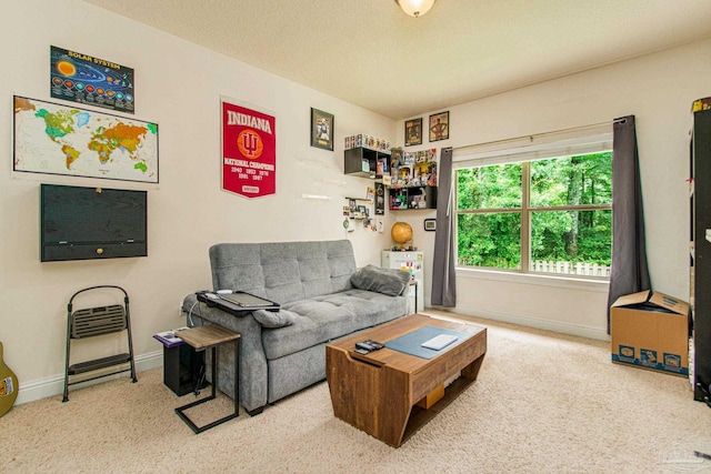 living room featuring light colored carpet and a textured ceiling