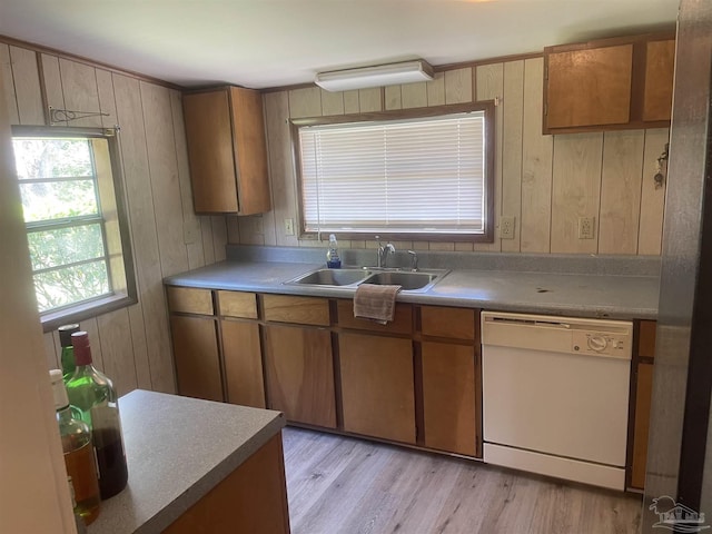 kitchen featuring dishwasher, wood walls, light wood-type flooring, and a sink