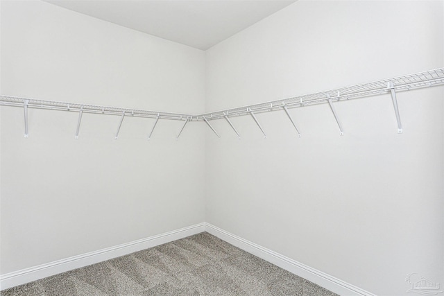 1644 Slate Dr, Cantonment, FL 32533 - walk in closet with light colored carpet