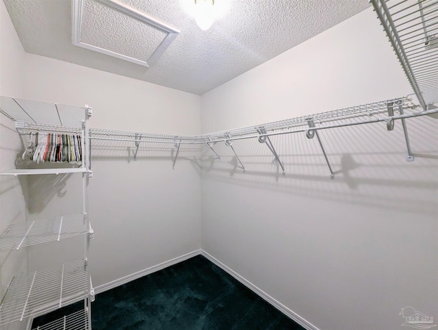 walk in closet with carpet